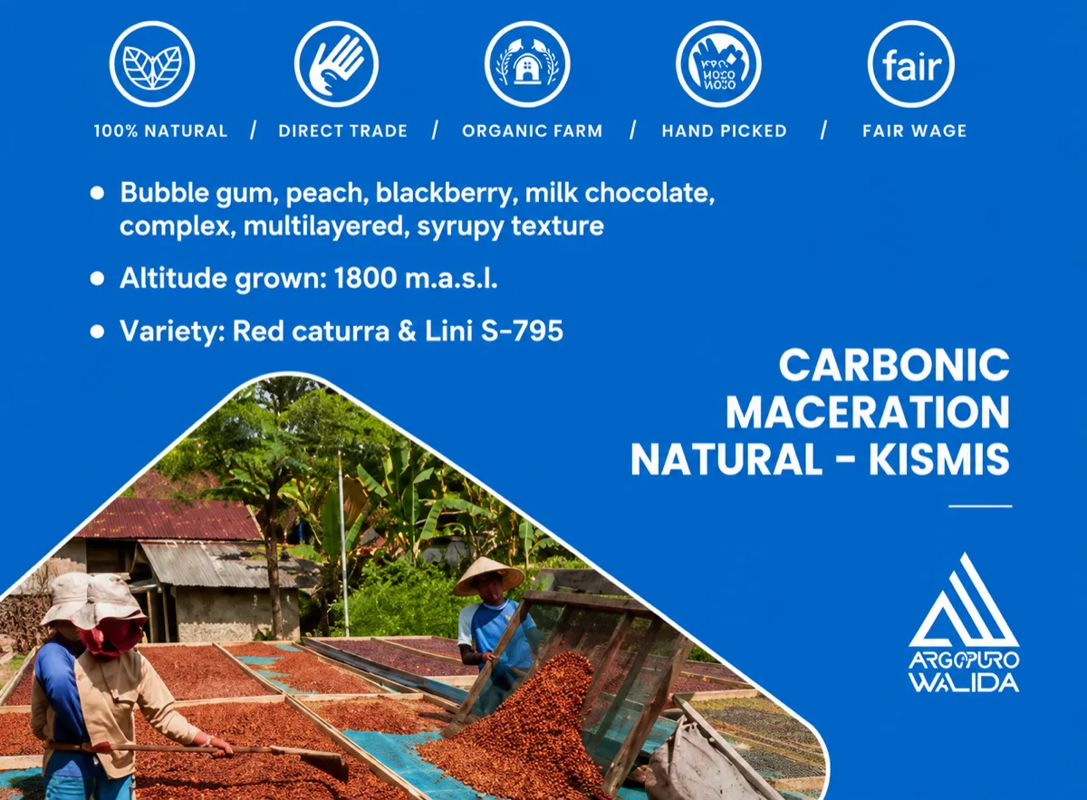 Carbonic Maceration Natural · Kismis
