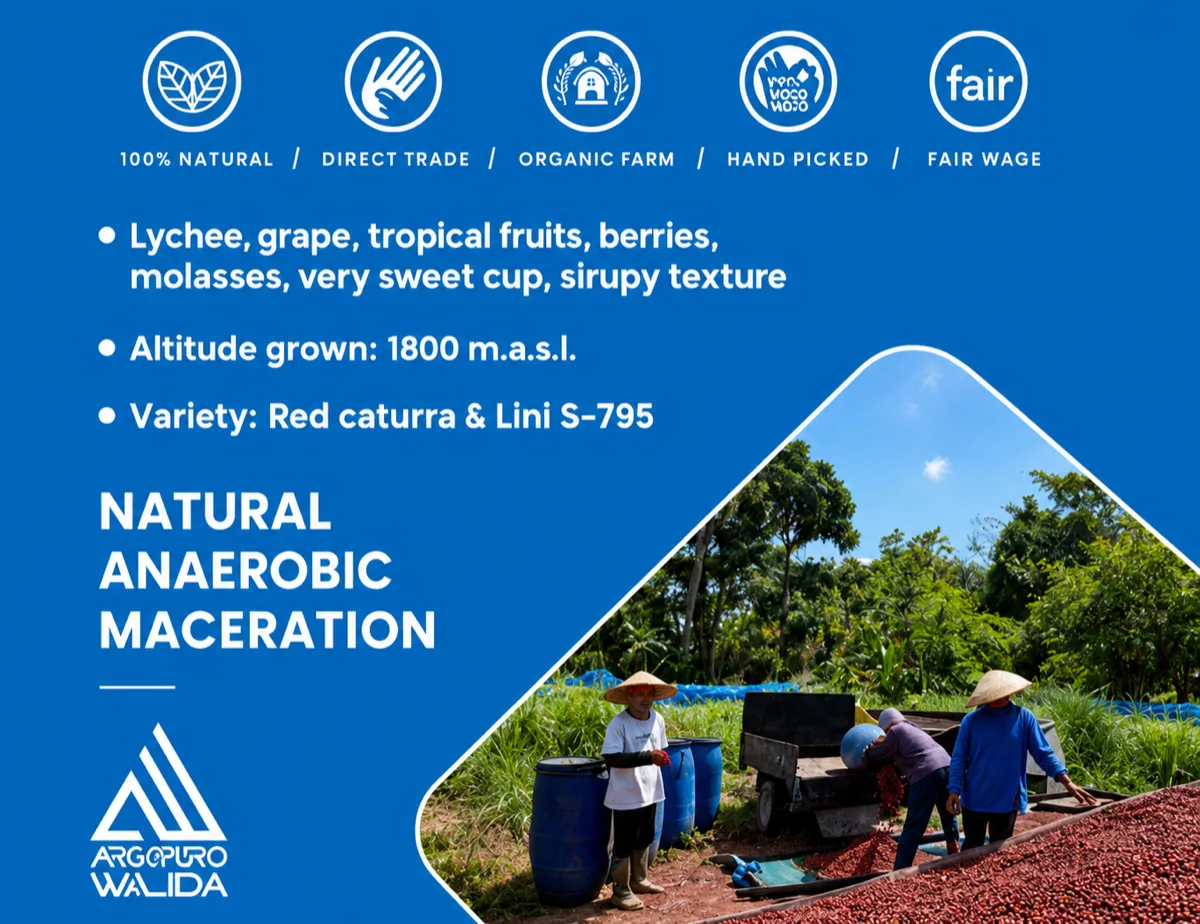 Natural Anaerobic Maceration